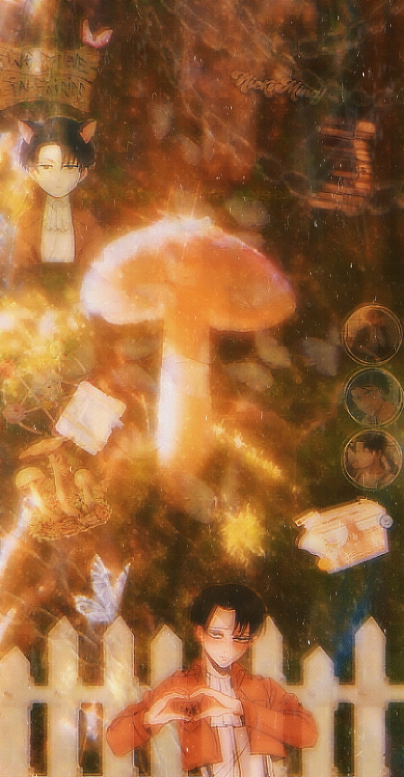 800x1538 HD fairycore wallpaper