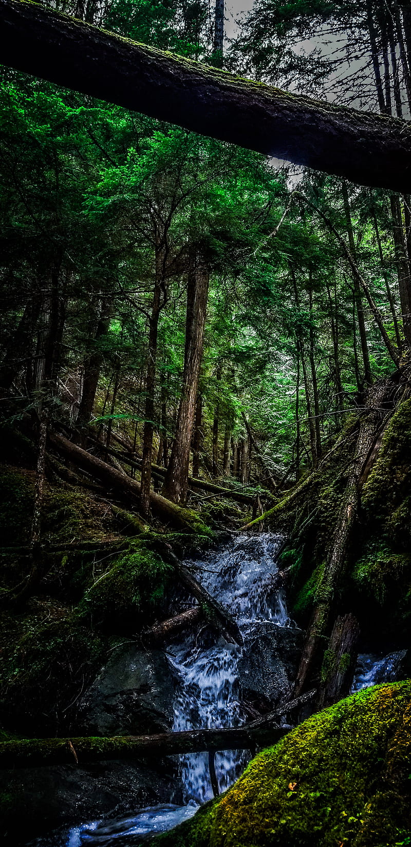 800x1646 Nature, green, hiking, mountains, outdoors, river, scenery, spring, trees, water, HD phone wallpaper