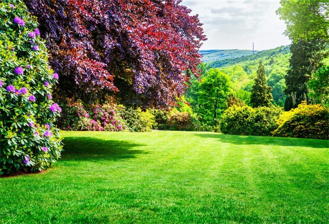 1134x772 Amazon.com : CSFOTO 8x6ft Spring Scenery Backdrop Outdoor Summer Background Meadow Green Mountain Blooming Flower Hiking Picnic Background for Photography Vacation Photo Wallpaper