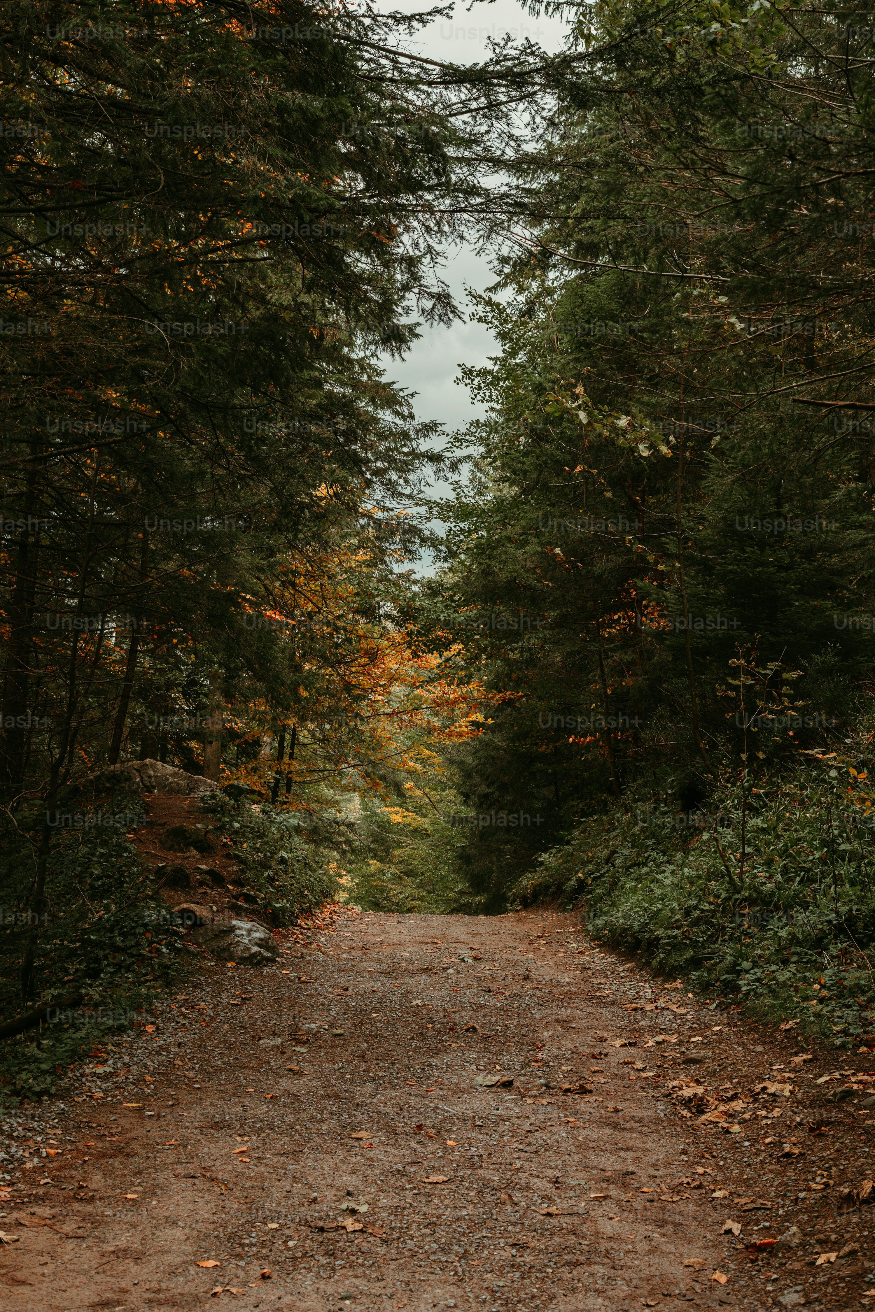 3000x4500 Outdoors Picture. Download Free Image