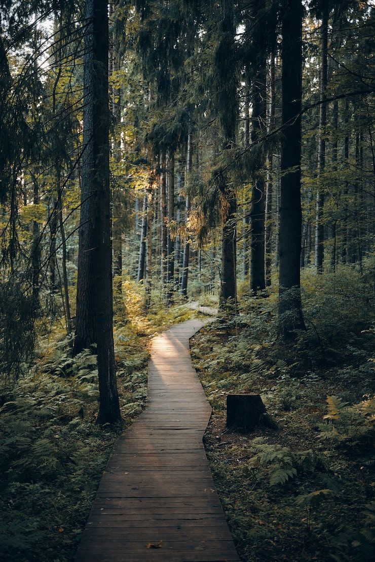 740x1110 Outdoor Image