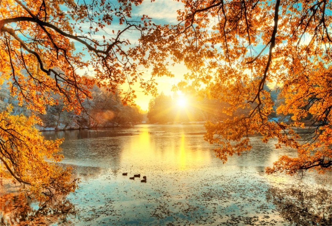 1134x772 CSFOTO Polyester 5x3ft Autumn Backdrop Fall Leaves Water Lake Sunset Fall Background Autumn Outdoors Holiday Vacation Tourism Photo Wallpaper Thanksgiving Day Photo Background : Amazon.ca: Electronics