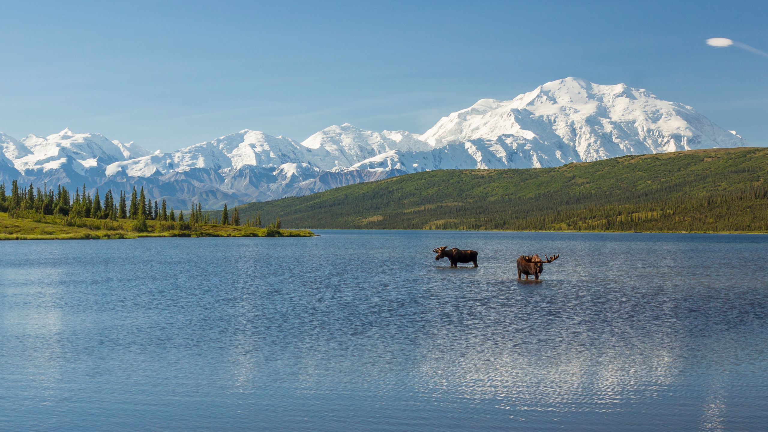 2560x1440 A Visit to Denali National Park Helped Me Overcome My Fear of the Outdoors. Condé Nast Traveler
