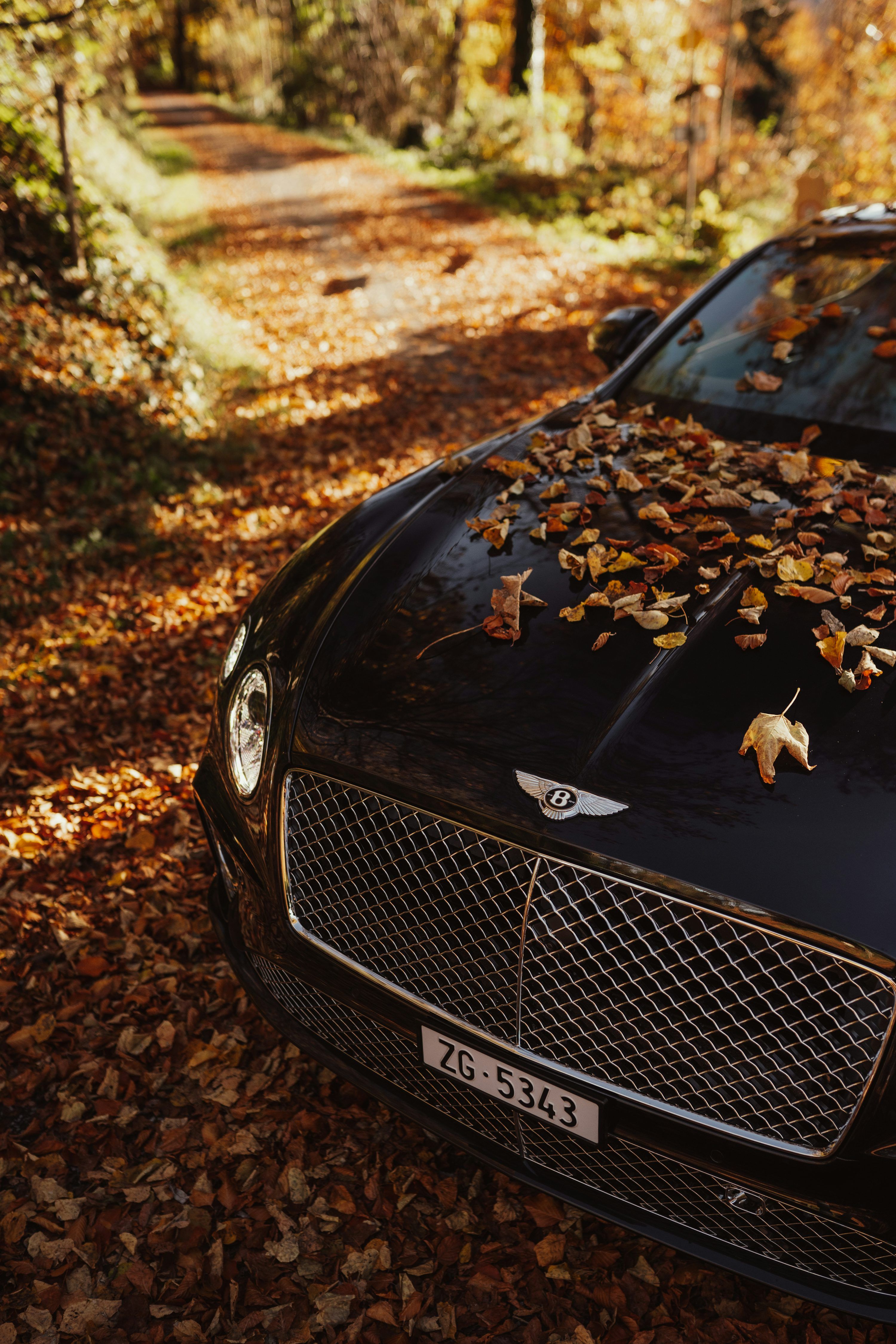 3000x4500 Bentley Continental Gt Picture. Download Free Image