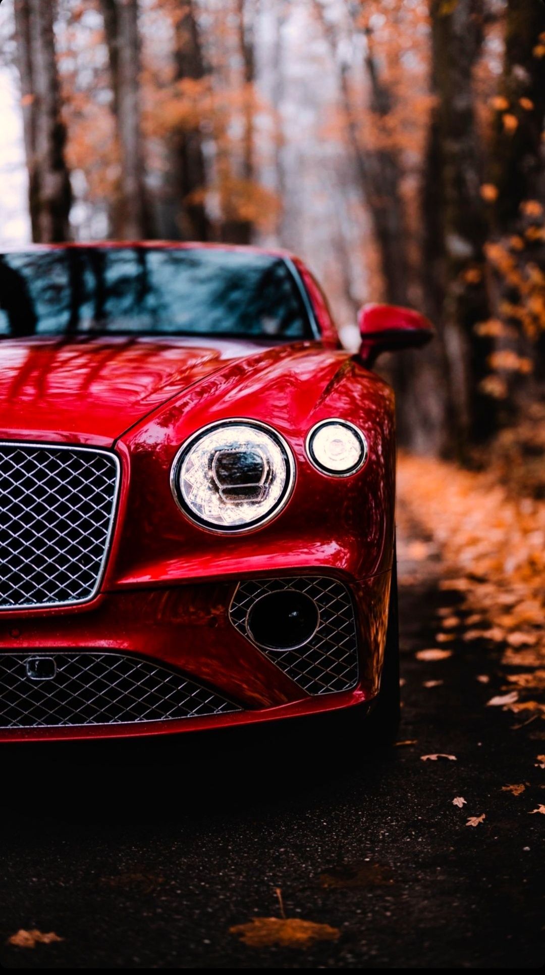 1080x1929 Beautiful Bentley Continental GT [1920 x 1080]