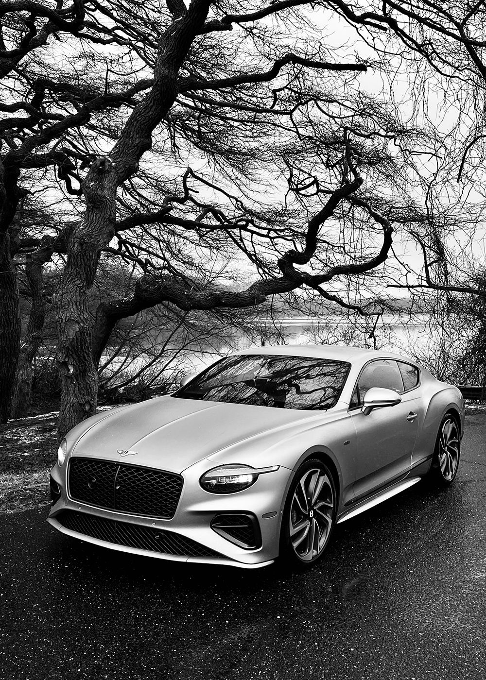 1000x1400 Bentley Continental GT Speed First Edition