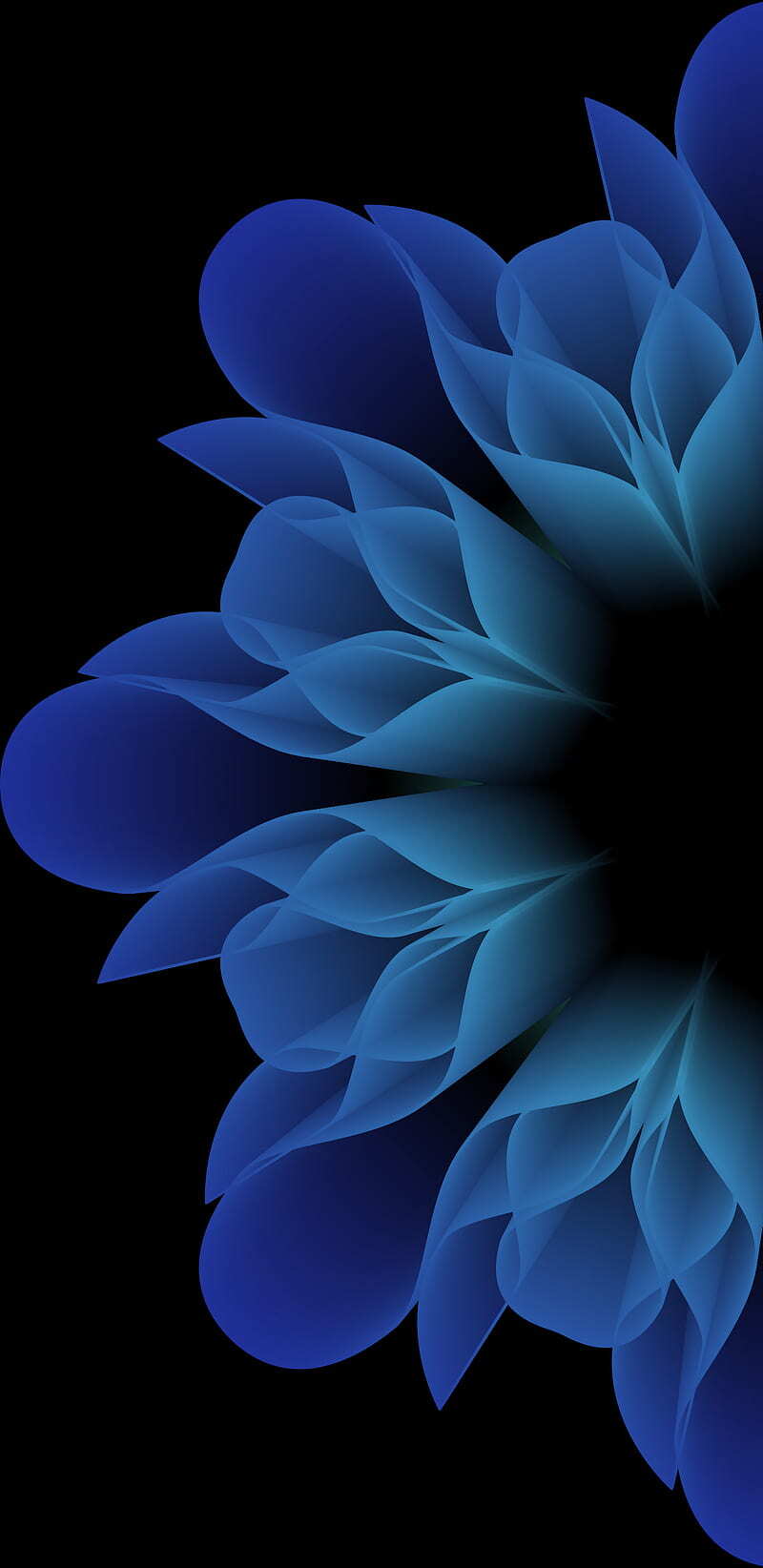 800x1644 Most Popular AMOLED Android Apple Wallpaper