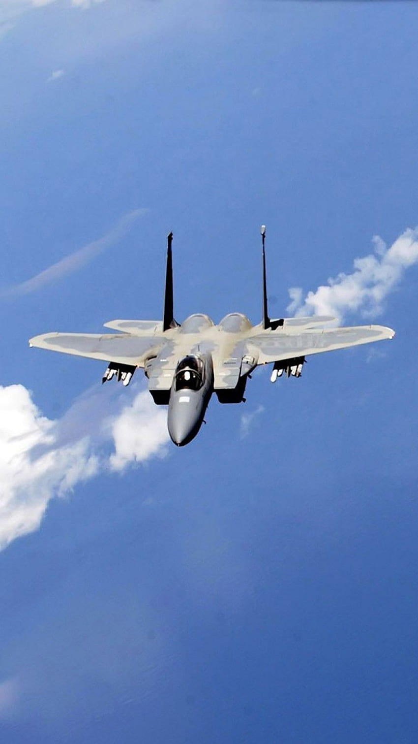 850x1511 IPhone 7 Plus Data Src F 15 Tip, Sukhoi Su 57 HD Phone Wallpaper