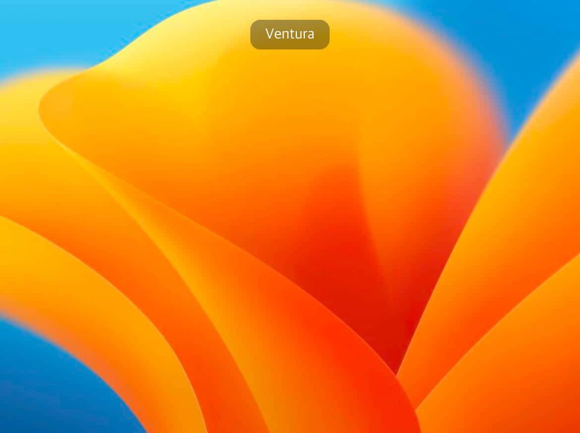 1170x875 Macos Ventura Wallpaper