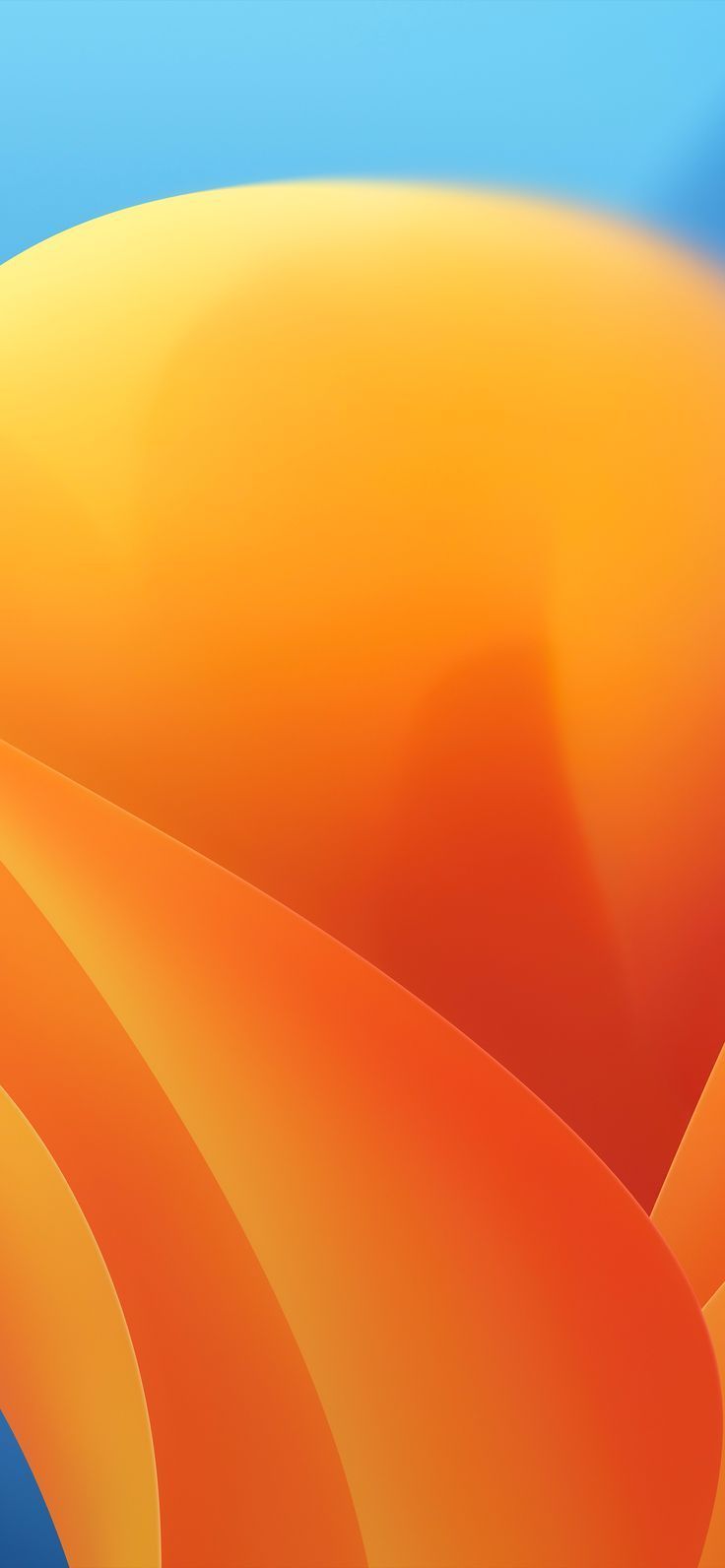 736x1592 macOS Ventura Wallpaper (YTECHB Exclusive)