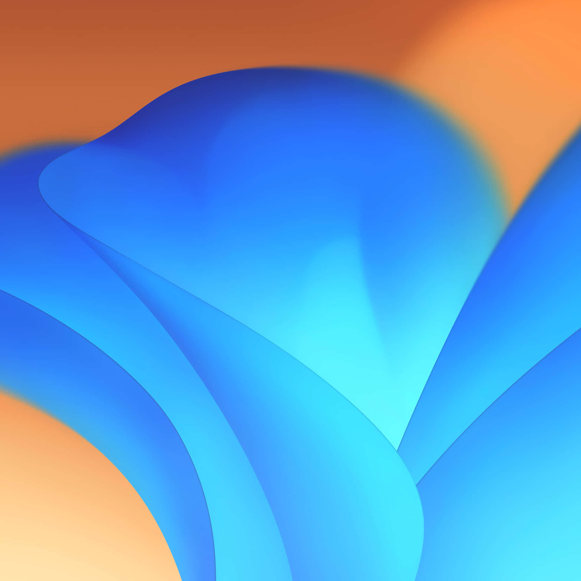 1920x1920 Macos Ventura Wallpaper