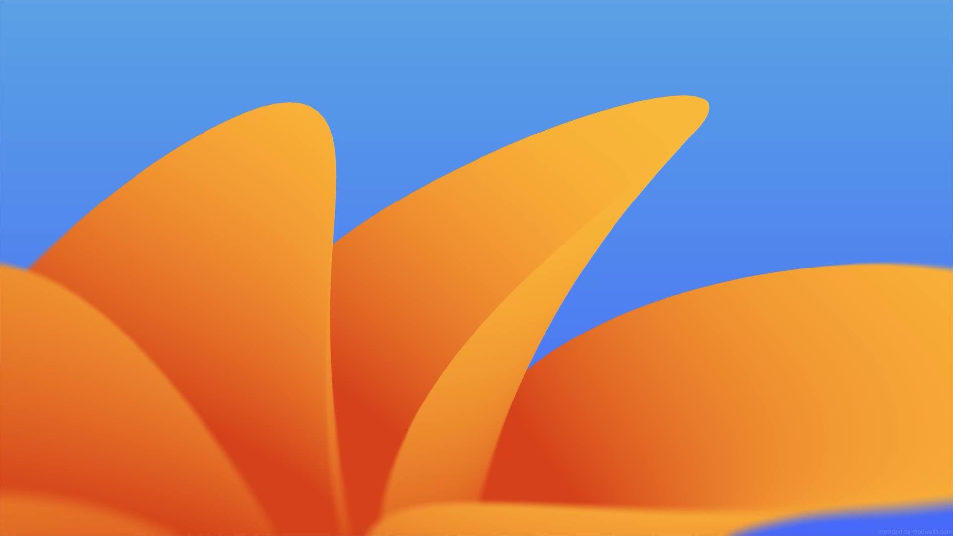 1920x1080 MacOS Ventura Live Wallpaper