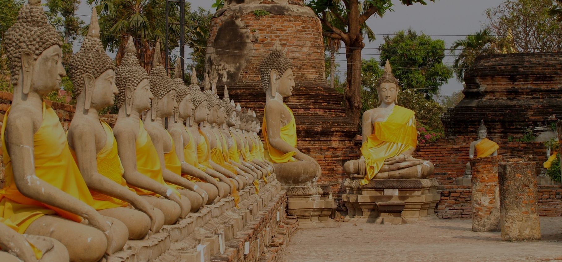 1818x850 The Best things to do in Ayutthaya, Thailand Stupid Bear