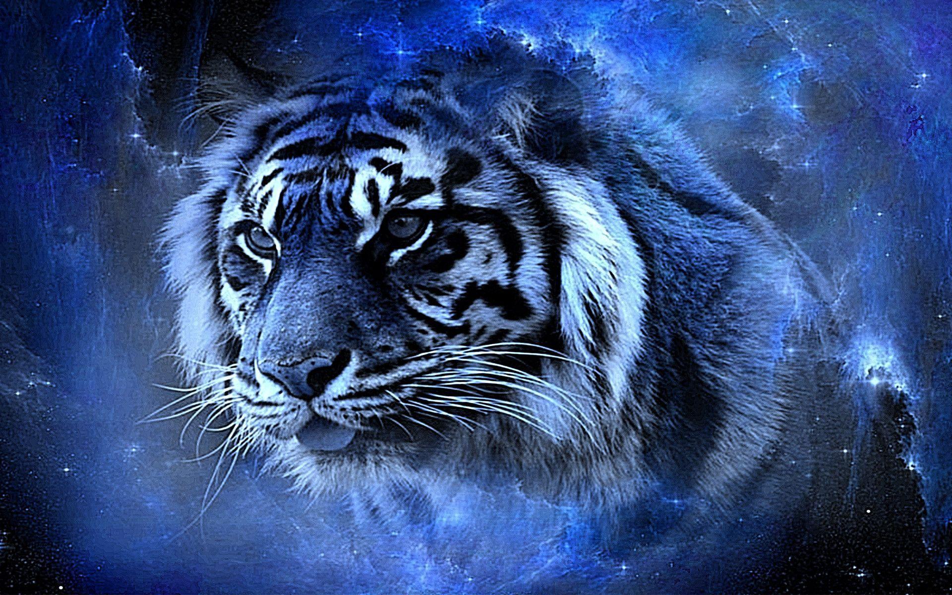 1920x1200 Tiger in Blue Full HD Wallpaper and Background Imagex1200