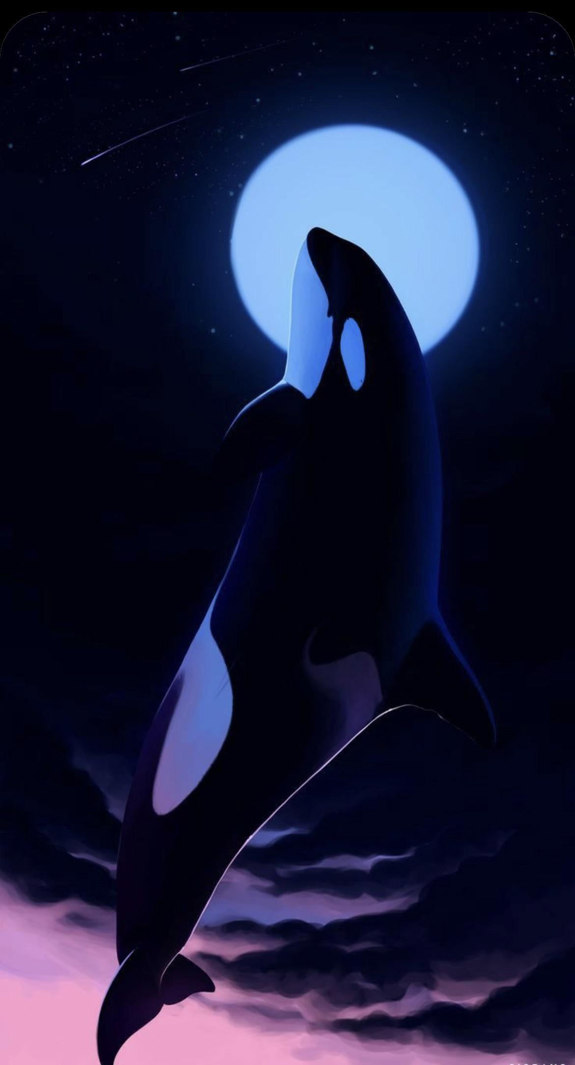 1170x2168 Orca phone wallpaper