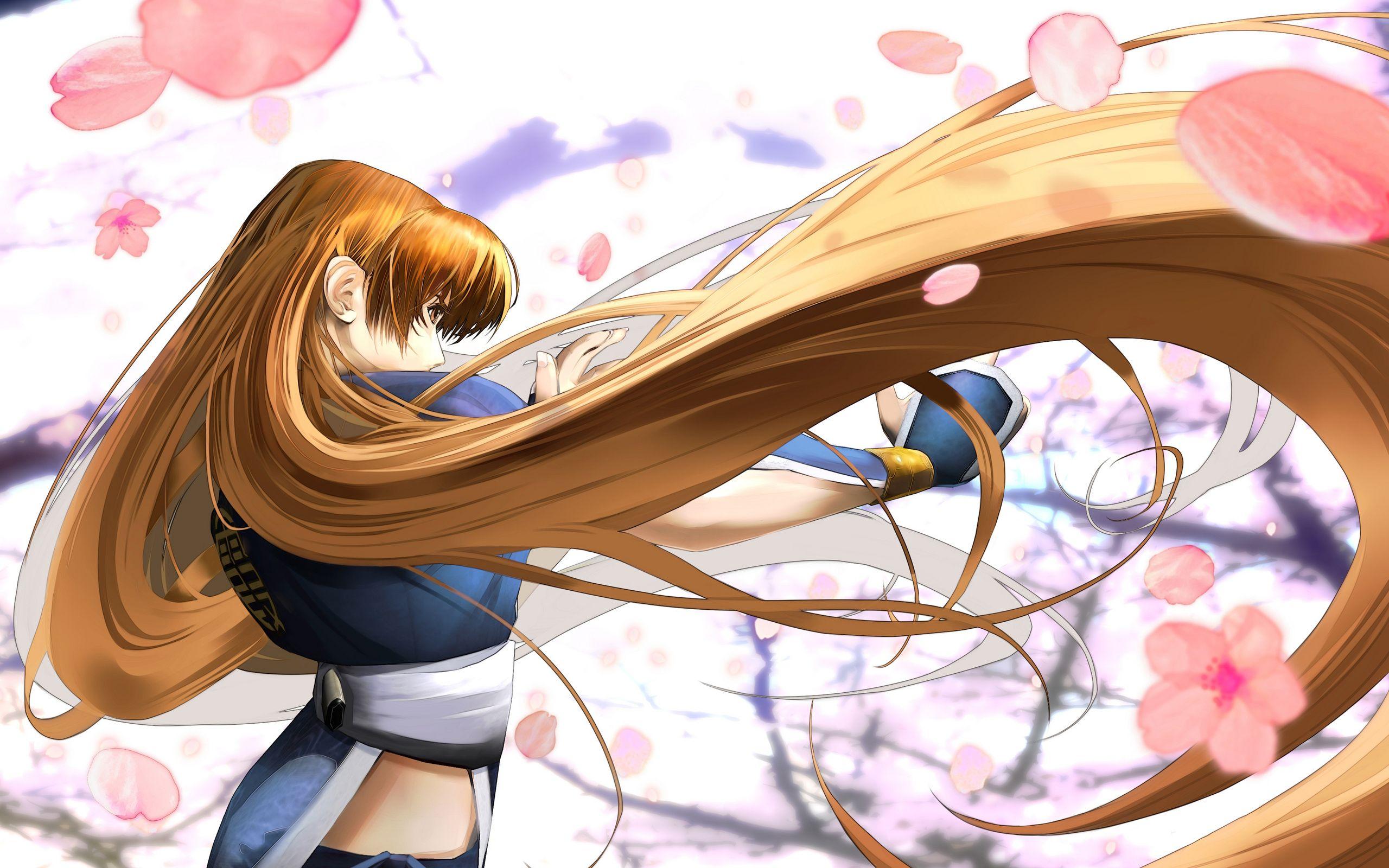 2560x1600 Kasumi Dead or Alive Wallpaper