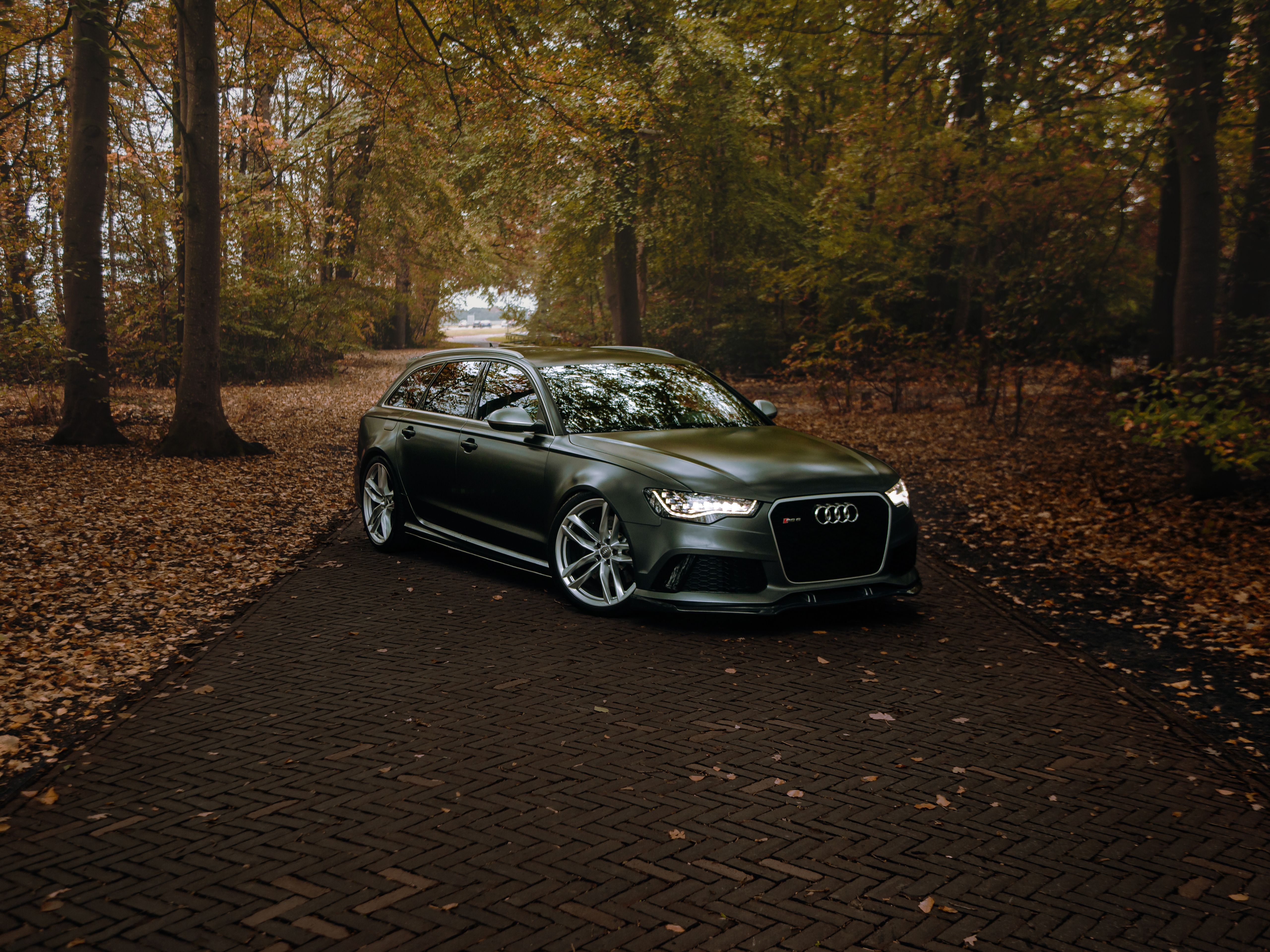 5120x3840 AUDI RS6 surrounded by fall colors (5120 × 3840)