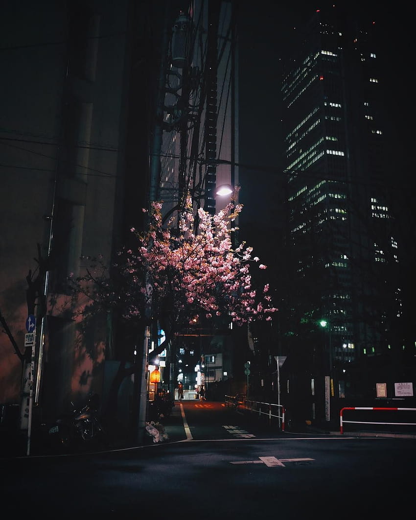 850x1062 Aesthetic dark city HD phone wallpaper