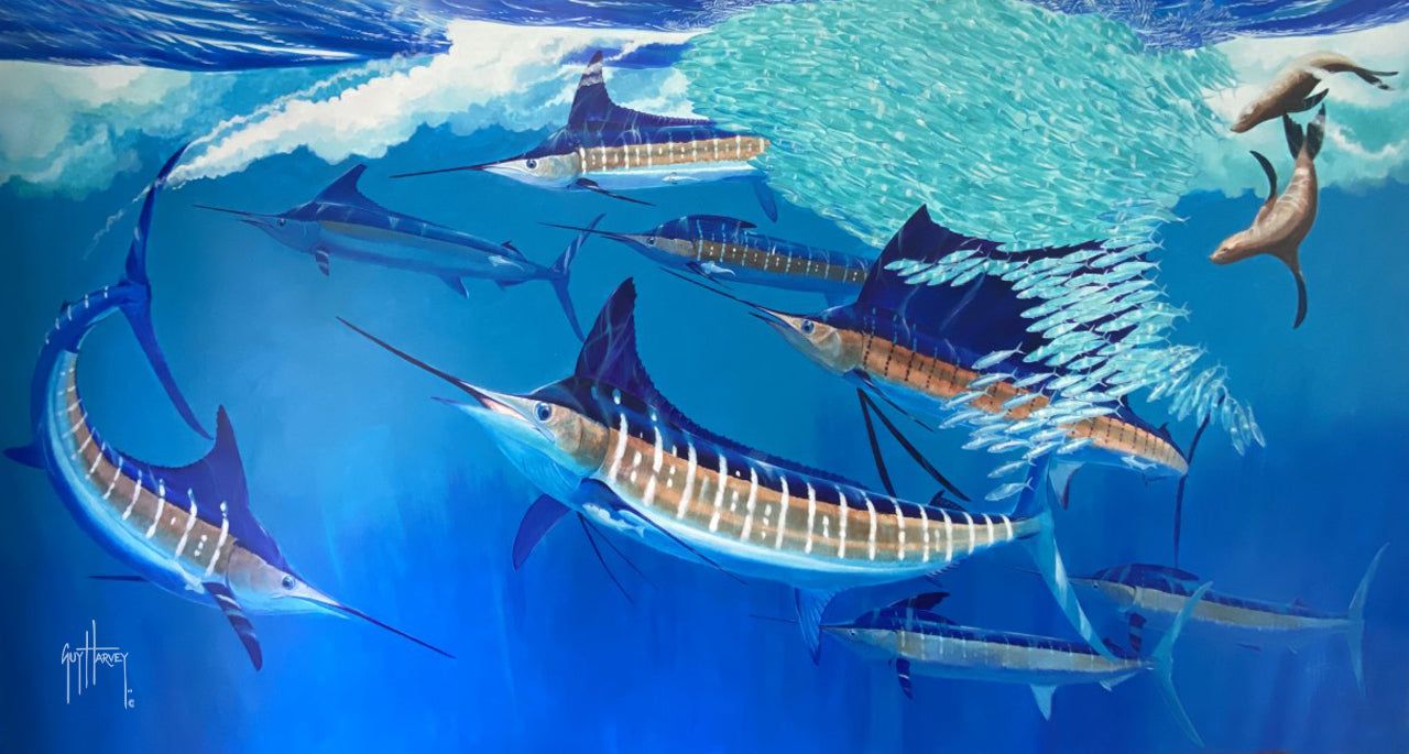 1280x685 Guy Harvey. Cabo Carnival Original Artwork, 12 x Unframed