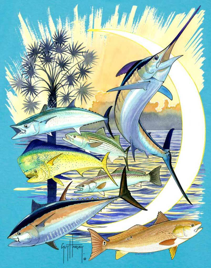 803x1021 Guy Harvey Wallpaper