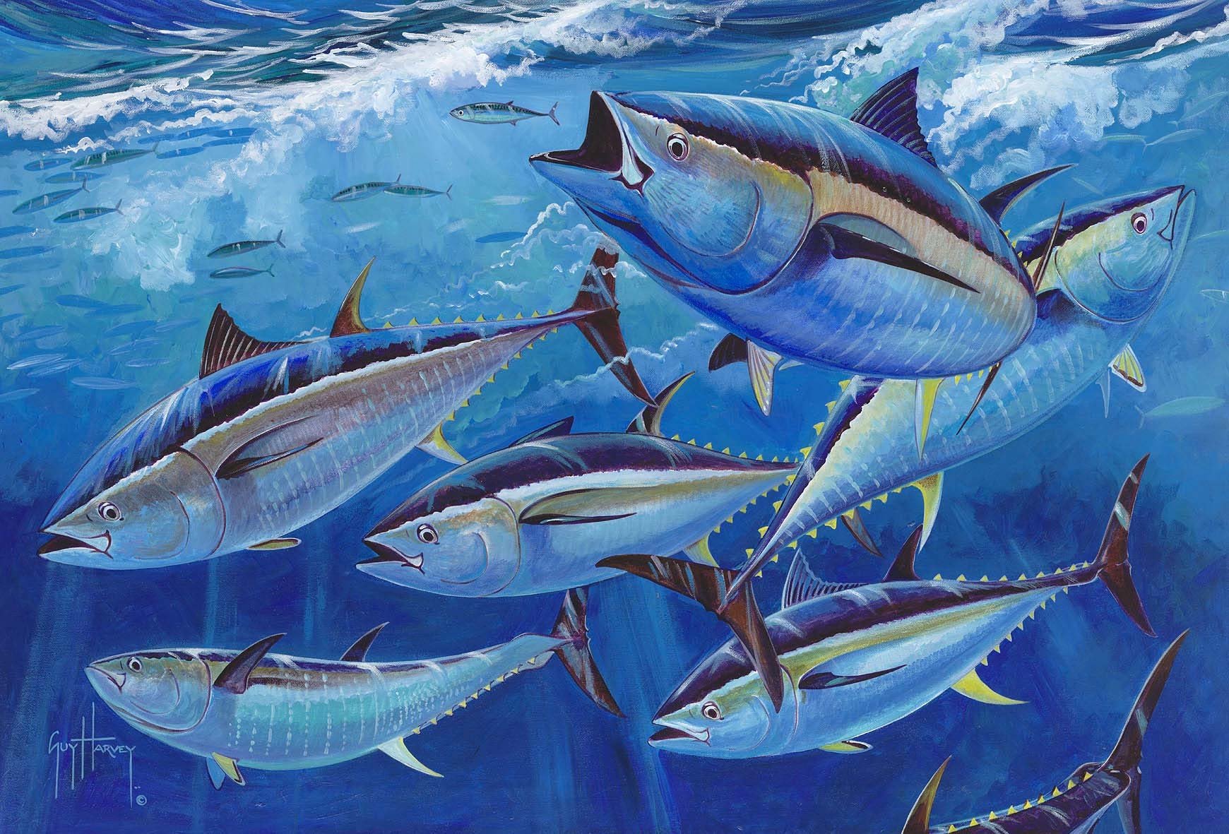 1740x1181 Guy Harvey
