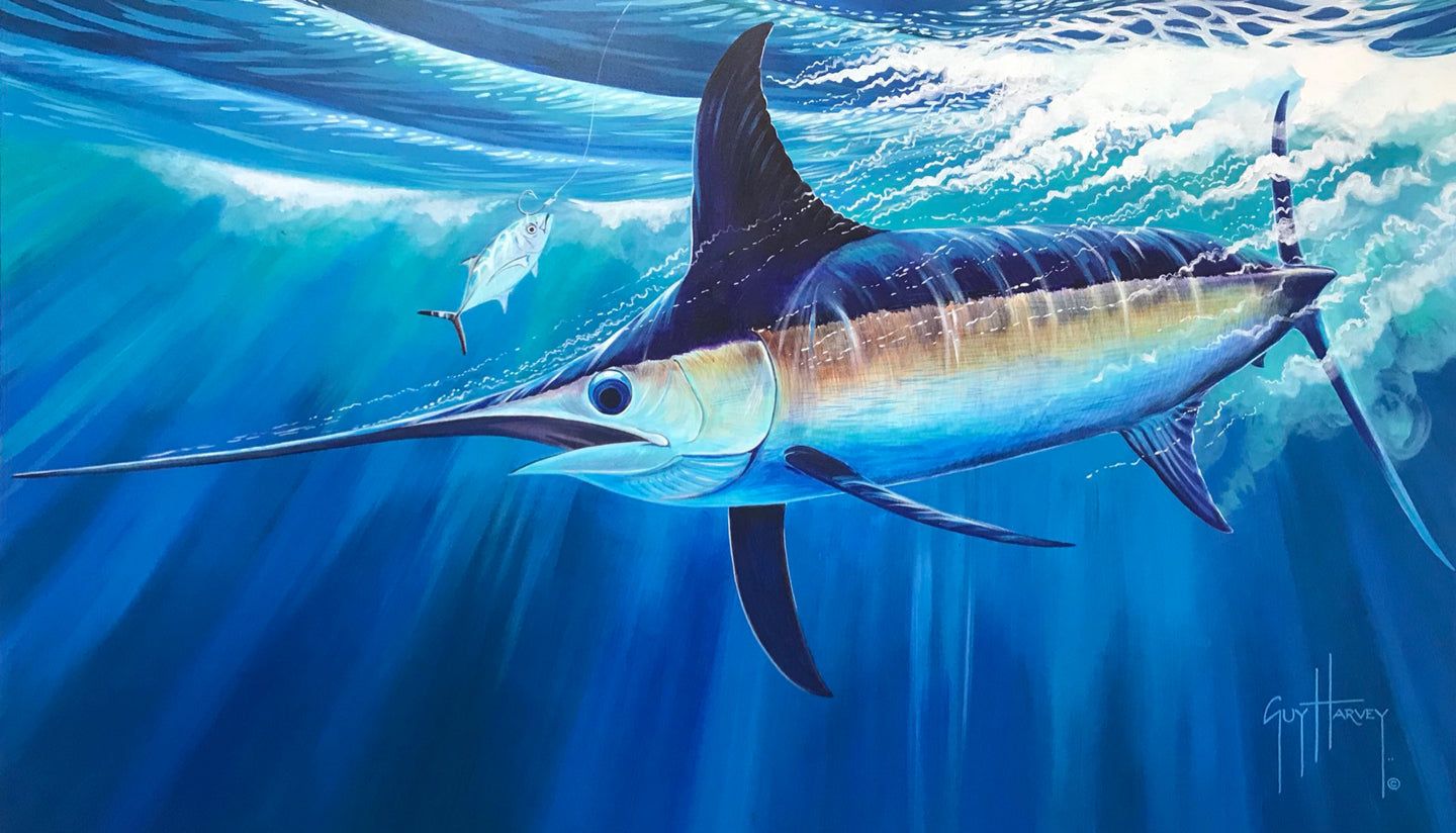 1440x824 Guy Harvey Artwork