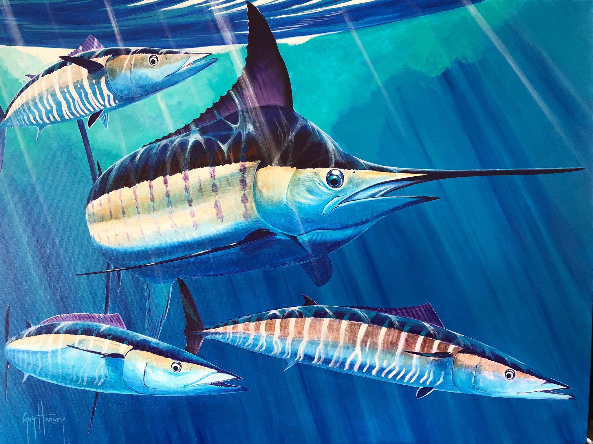 2048x1536 Guy Harvey