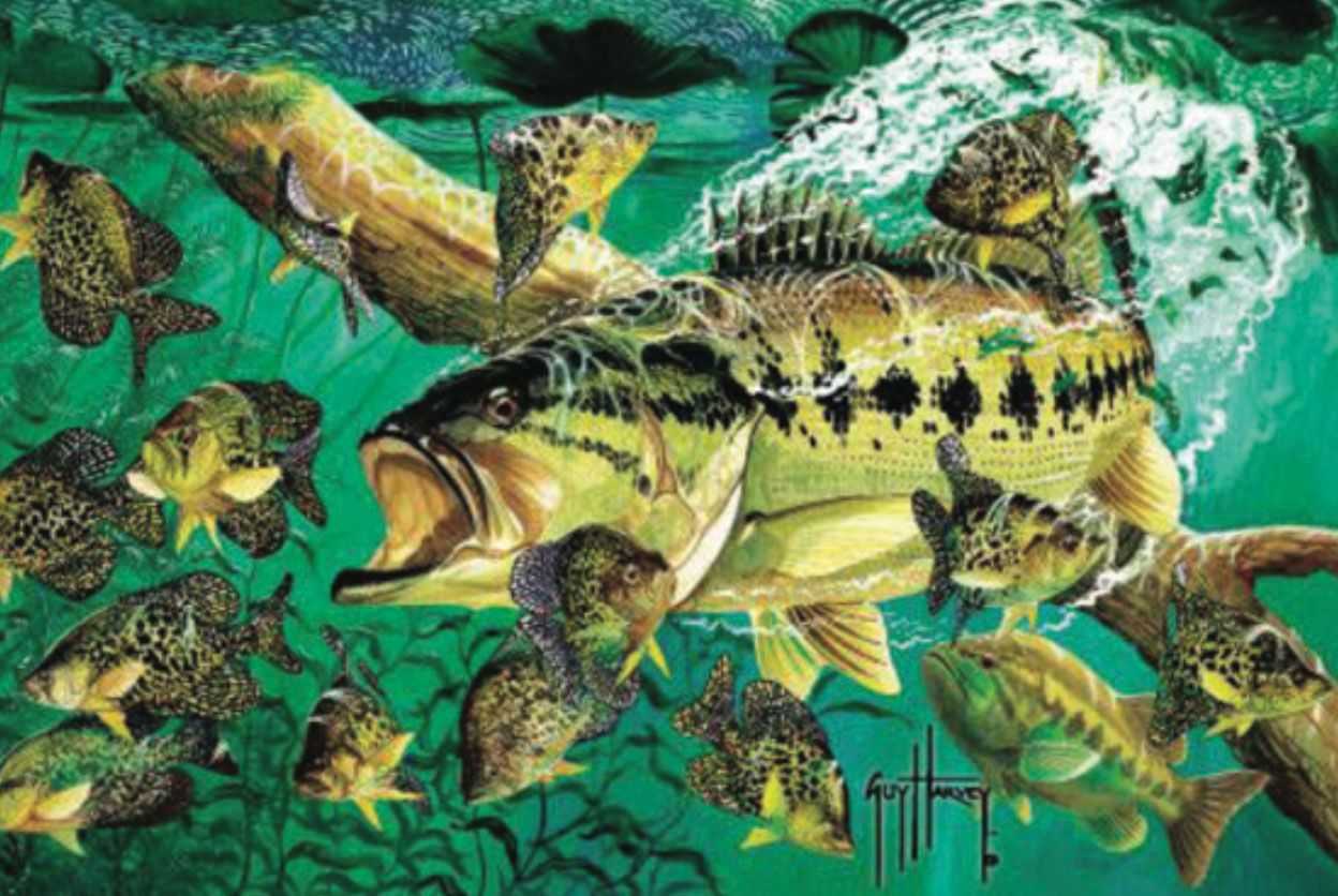 1248x836 Guy Harvey Outpost
