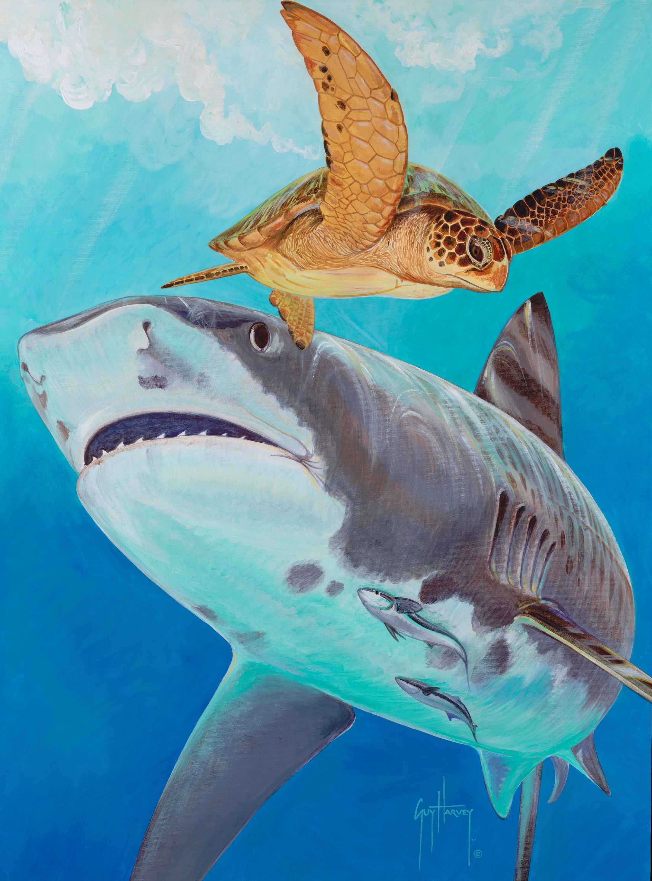 2200x2974 MOAFL hosts Family SHARK Experience, Aug. 18