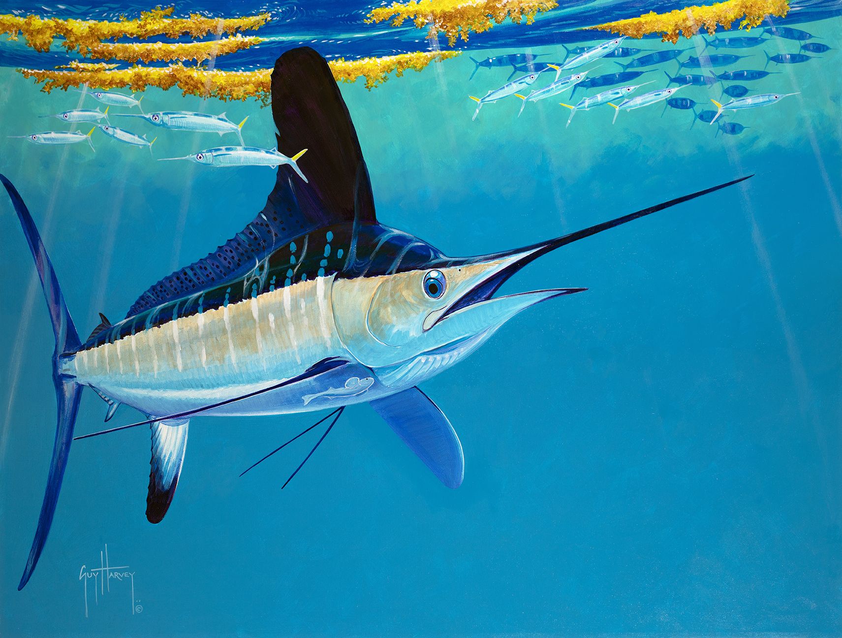 1711x1296 Win an Original Painting by Artist Guy Harvey to Benefit the Backus Museum