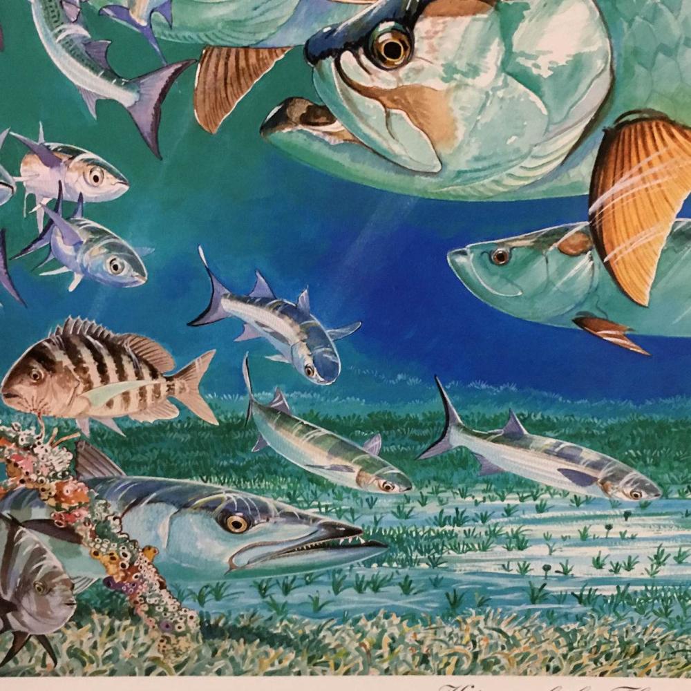 1000x1000 Guy Harvey Signed Print, King Of The Flats