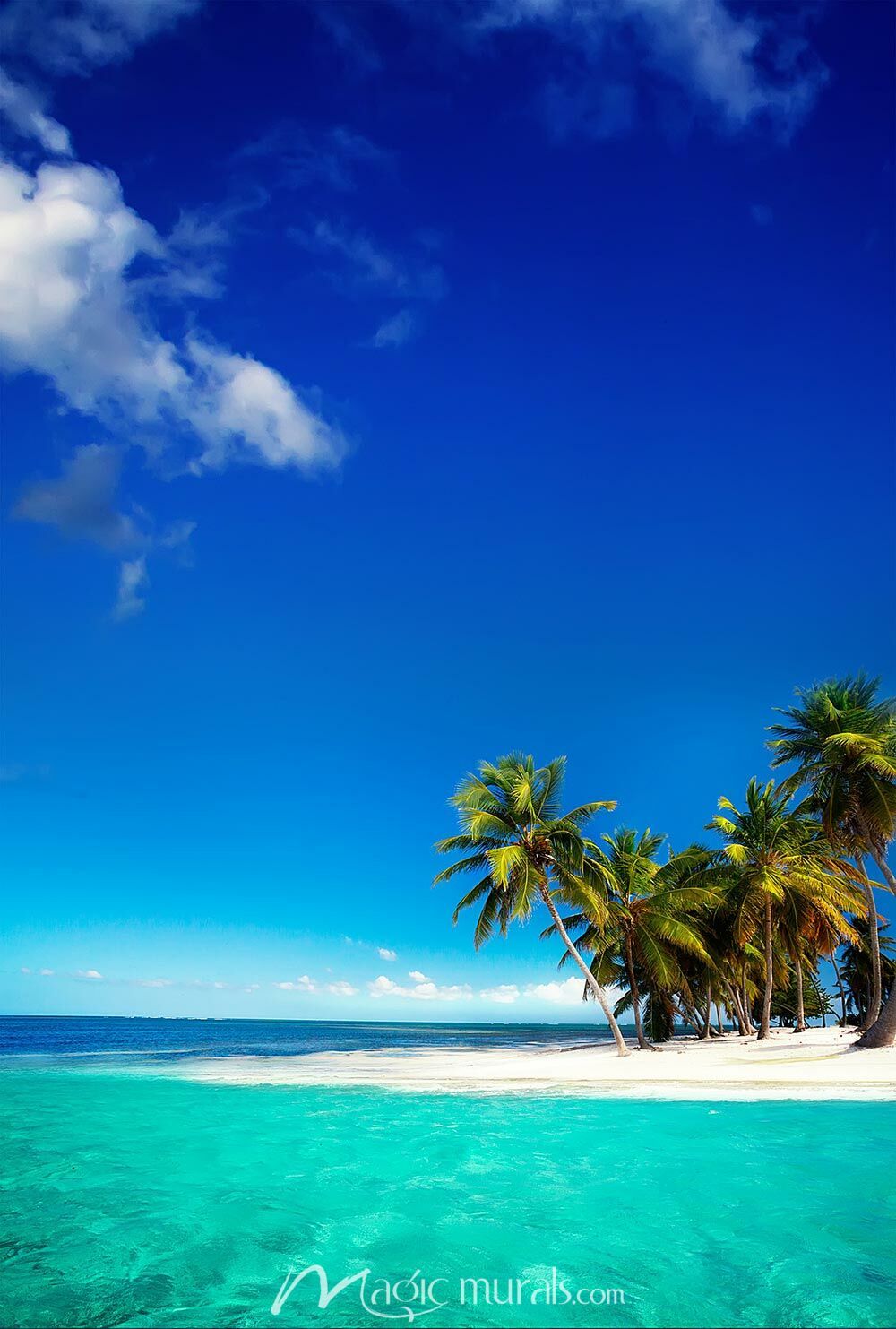 1000x1483 Hawaiian Seaside View