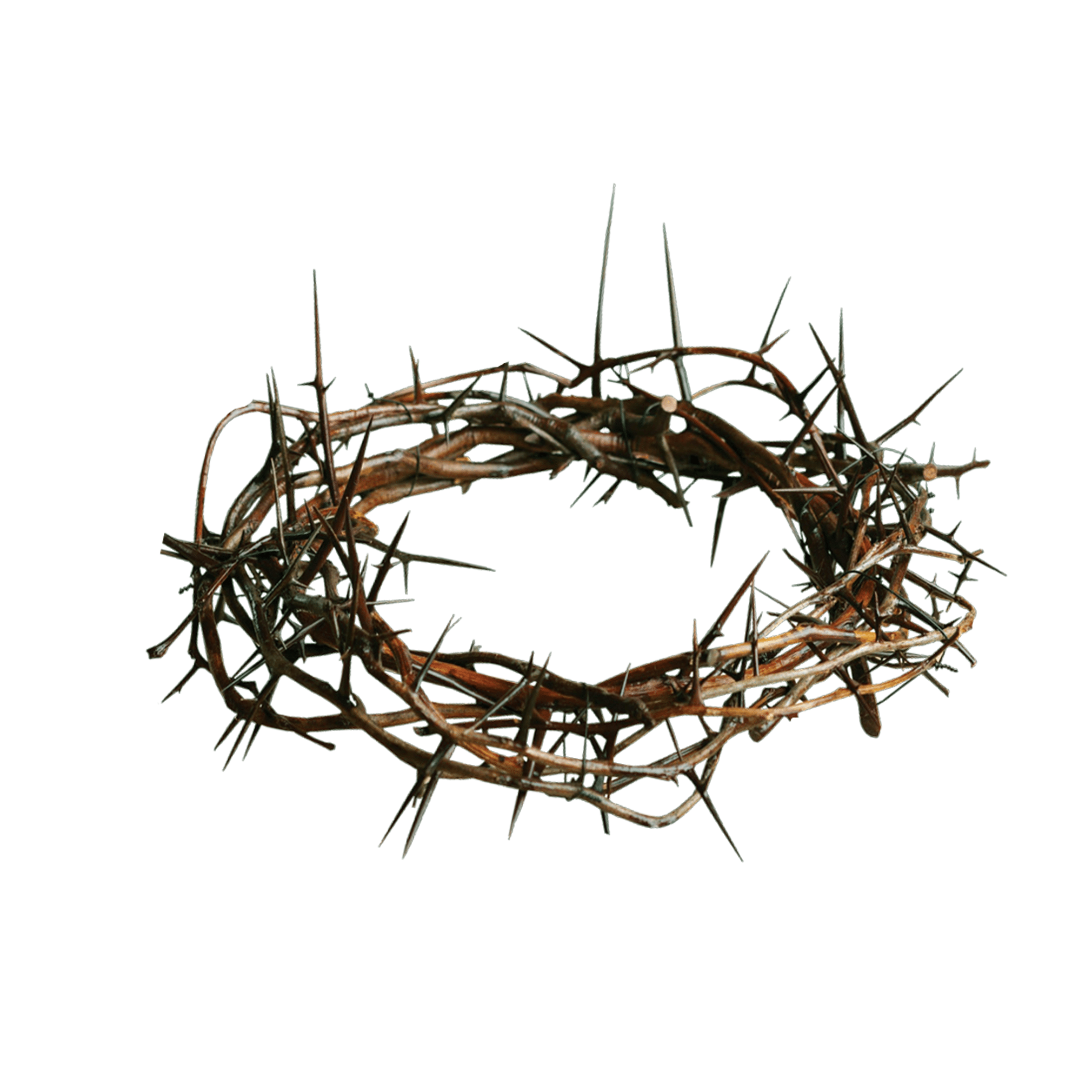 Crown of Thorns Wallpapers - Top Free Crown of Thorns Backgrounds ...