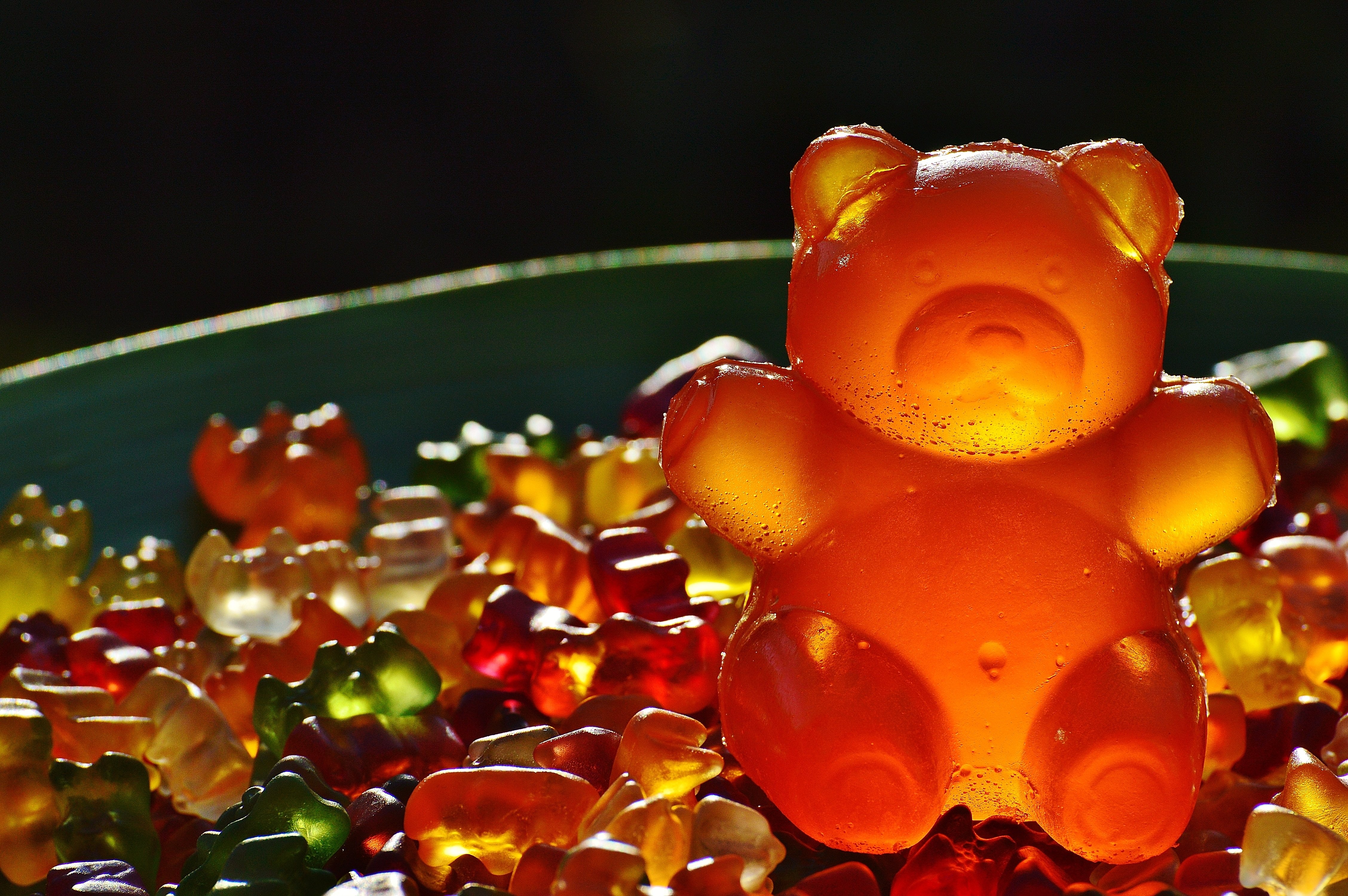 4512x3000 Free Image : plant, sweet, flower, petal, red, produce, color, colorful, yellow, lighting, delicious, close up, brand, children, sugar, sweetness, macro photography, nibble, haribo, gummib rchen, gummi bears, giant rubber bear, gummib