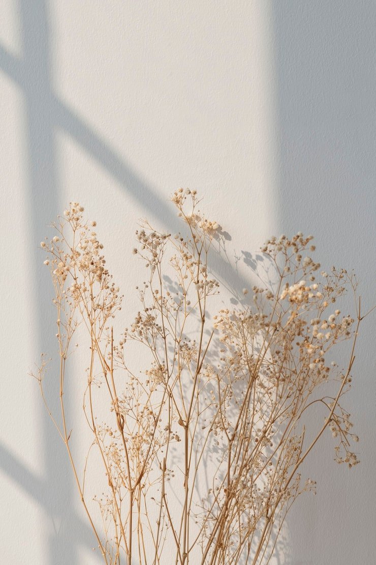 740x1110 Aesthetic beige wallpaper Image