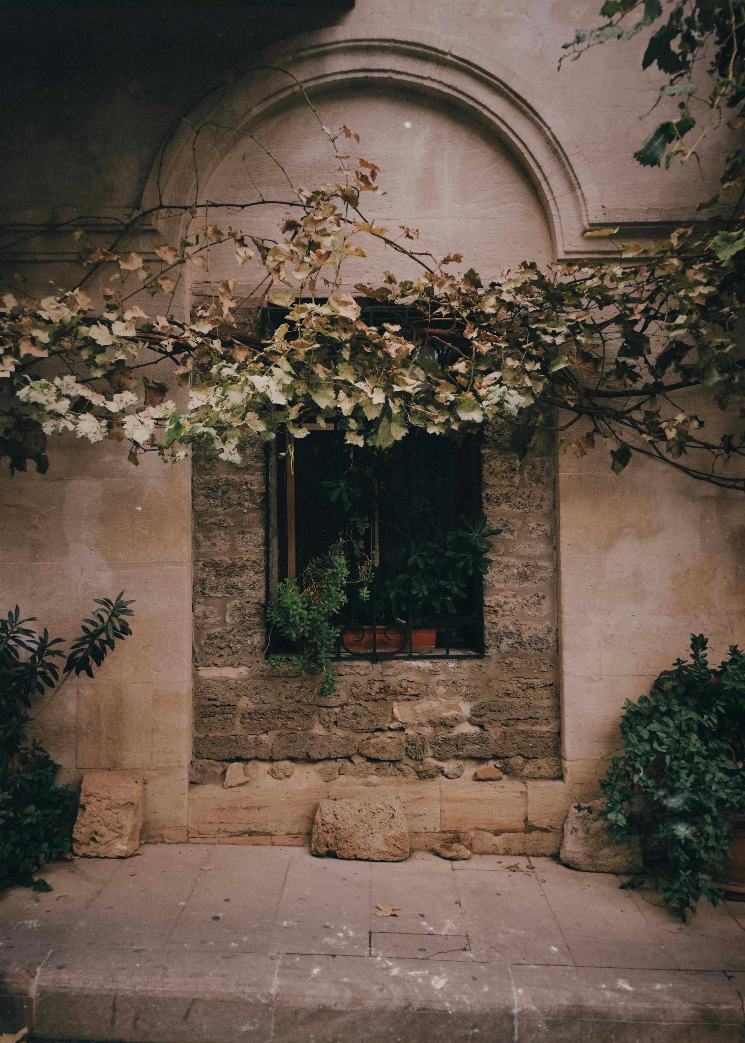 2880x4032 View of a Wall with Ivy and an Arch in a Garden · Free