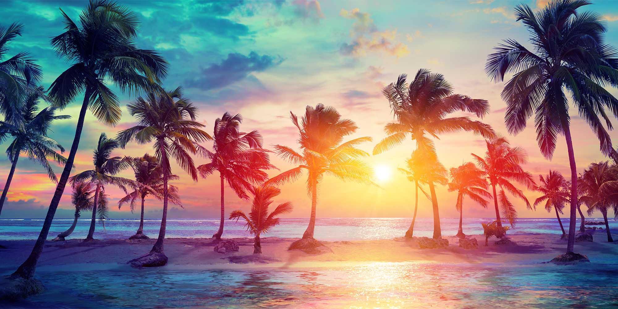 2000x1000 Tropical Sunset Paradise Wall Mural