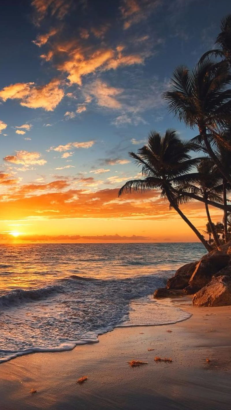 800x1422 Paradise, beach, landscape, sunset, tropical, HD phone wallpaper