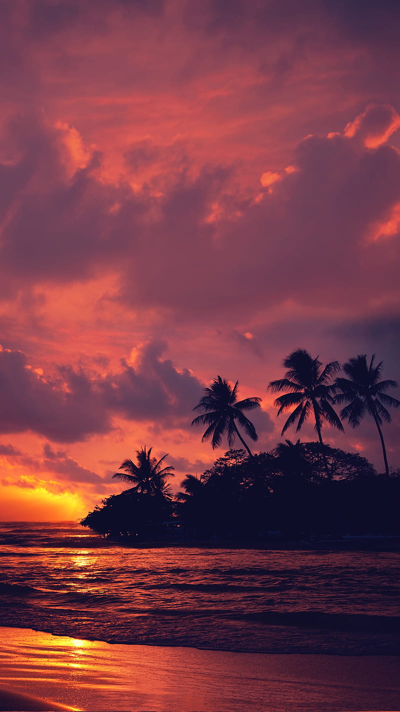 800x1423 Sunset Glow, glow, sunset, HD phone wallpaper