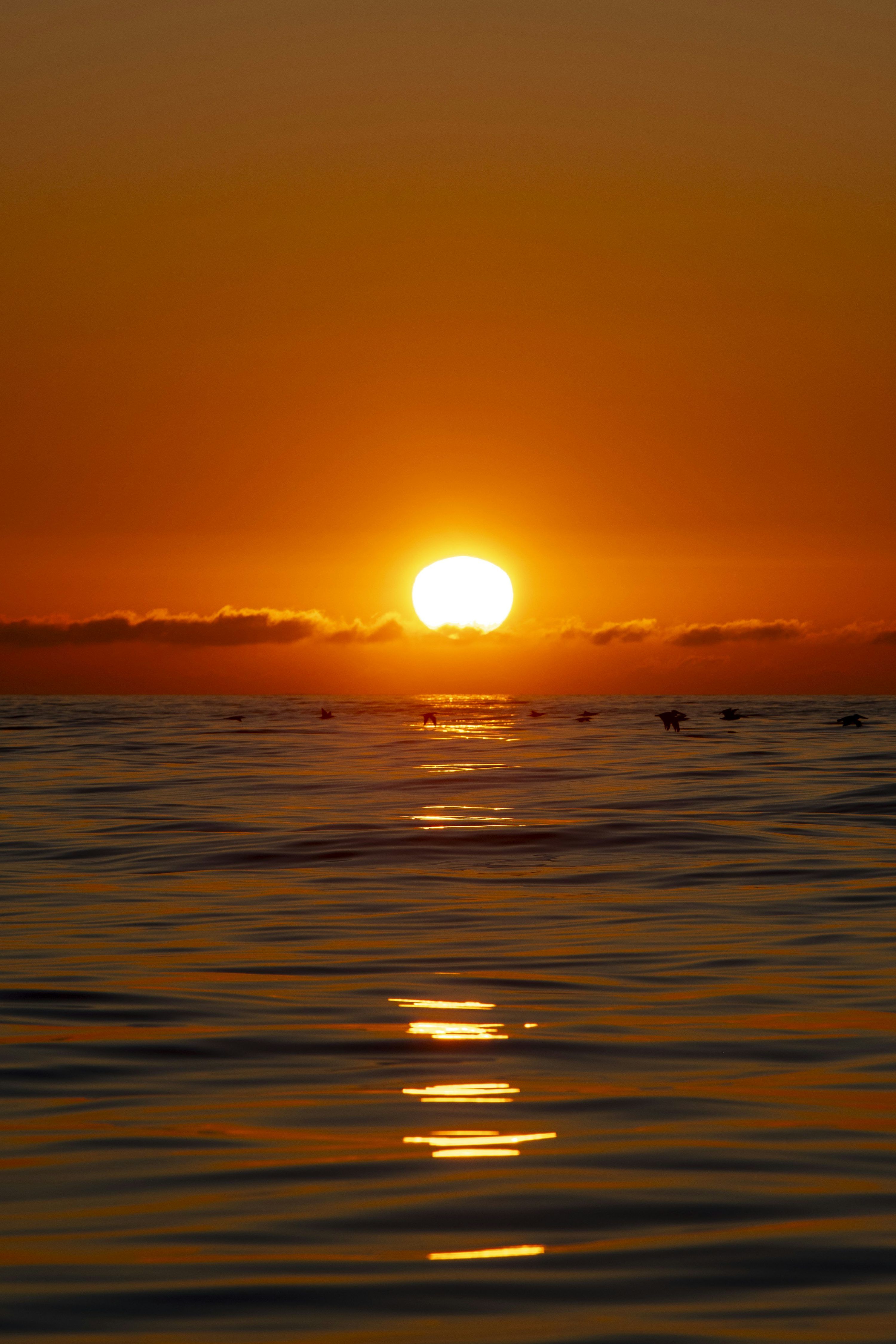 3000x4500 Sunset over the ocean, bathed in orange glow. photo