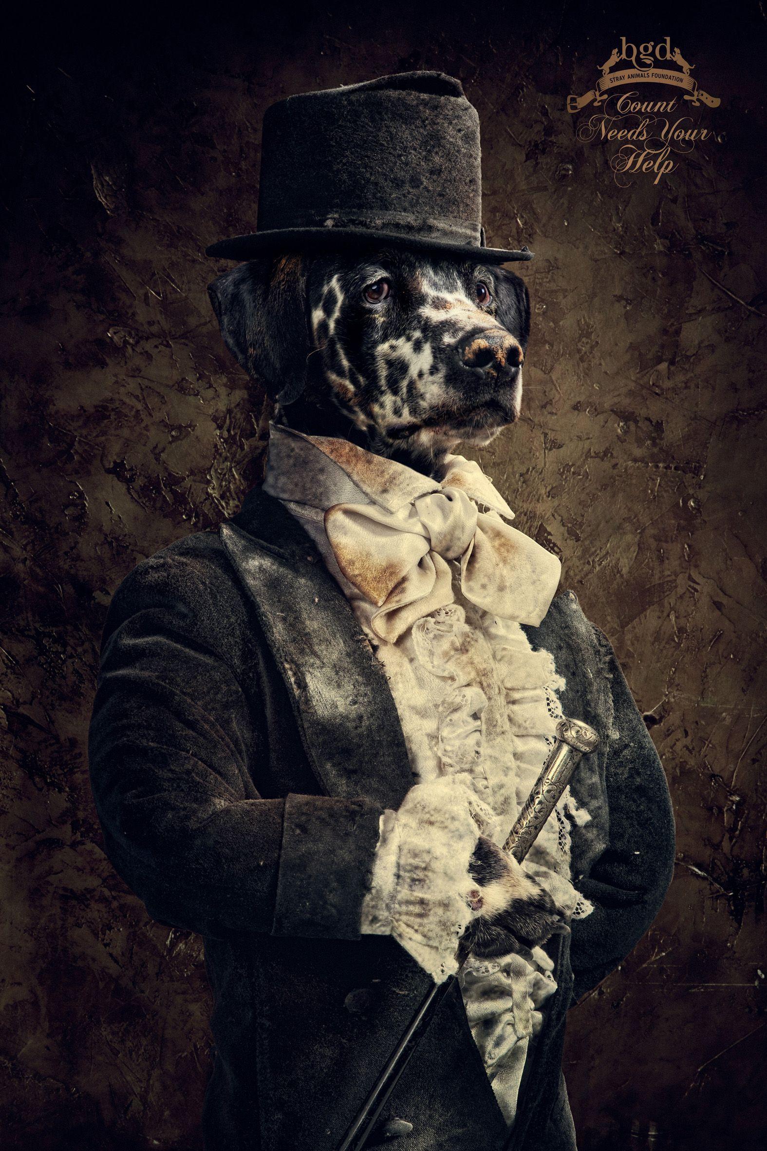 1575x2362 costume, suit, dogs, gentleman, canine, top hat wallpaper