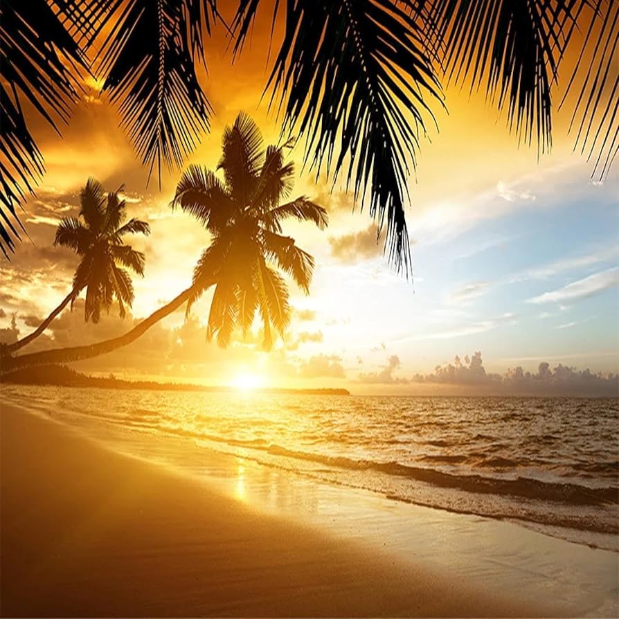 894x894 MILUXUEXUN 3D Poster Photo Wallpaper Nature Living Room TV Background Wall Cloth Sunset Glow Coconut sea Landscape Mural Paper, Silk