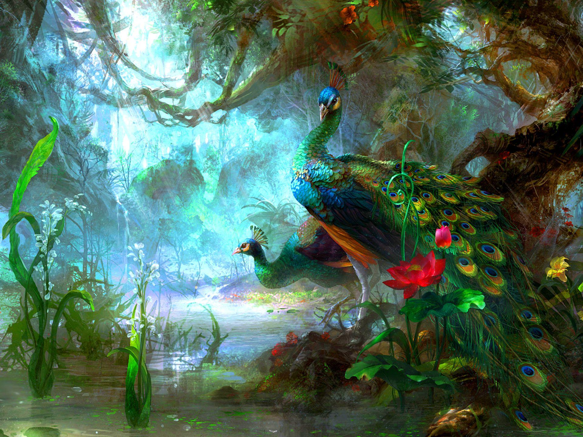 1920x1440 Exotic Birds Peacock Artistic Paintings On Canvas Best HD Desktop
