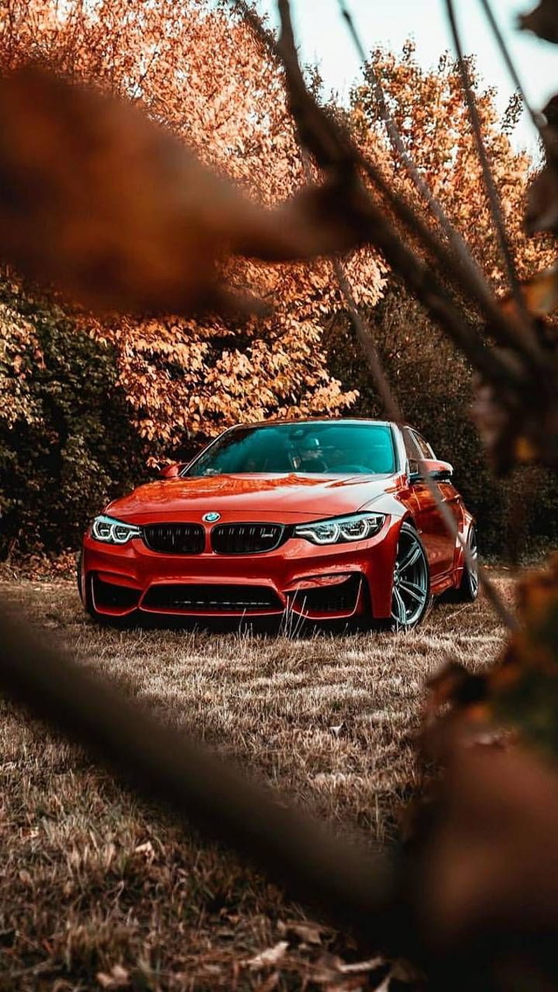 800x1422 BMW M3 by P3TR1T now. Browse millions of popular auto and Ringtones on. Bmw, HD phone wallpaper