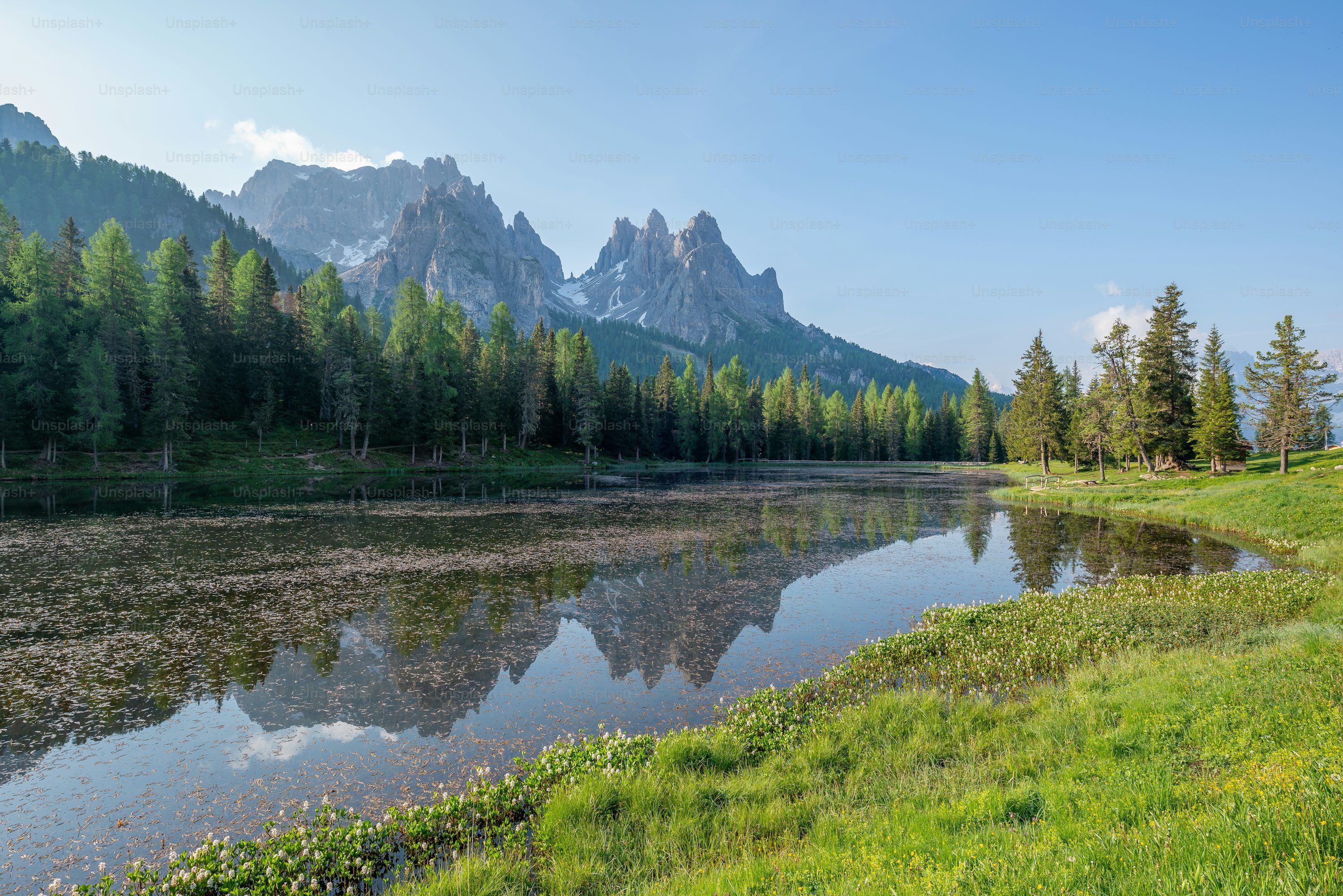 3000x2002 A lake surrounded by a forest with mountains in the background photo