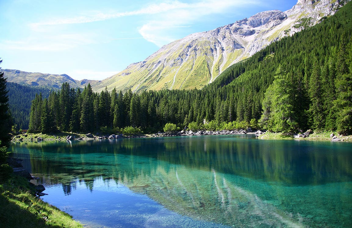 1155x750 Serene Alpine Lake and Forest Landscape Mural Wallpaper in Vibrant Greens and Blues