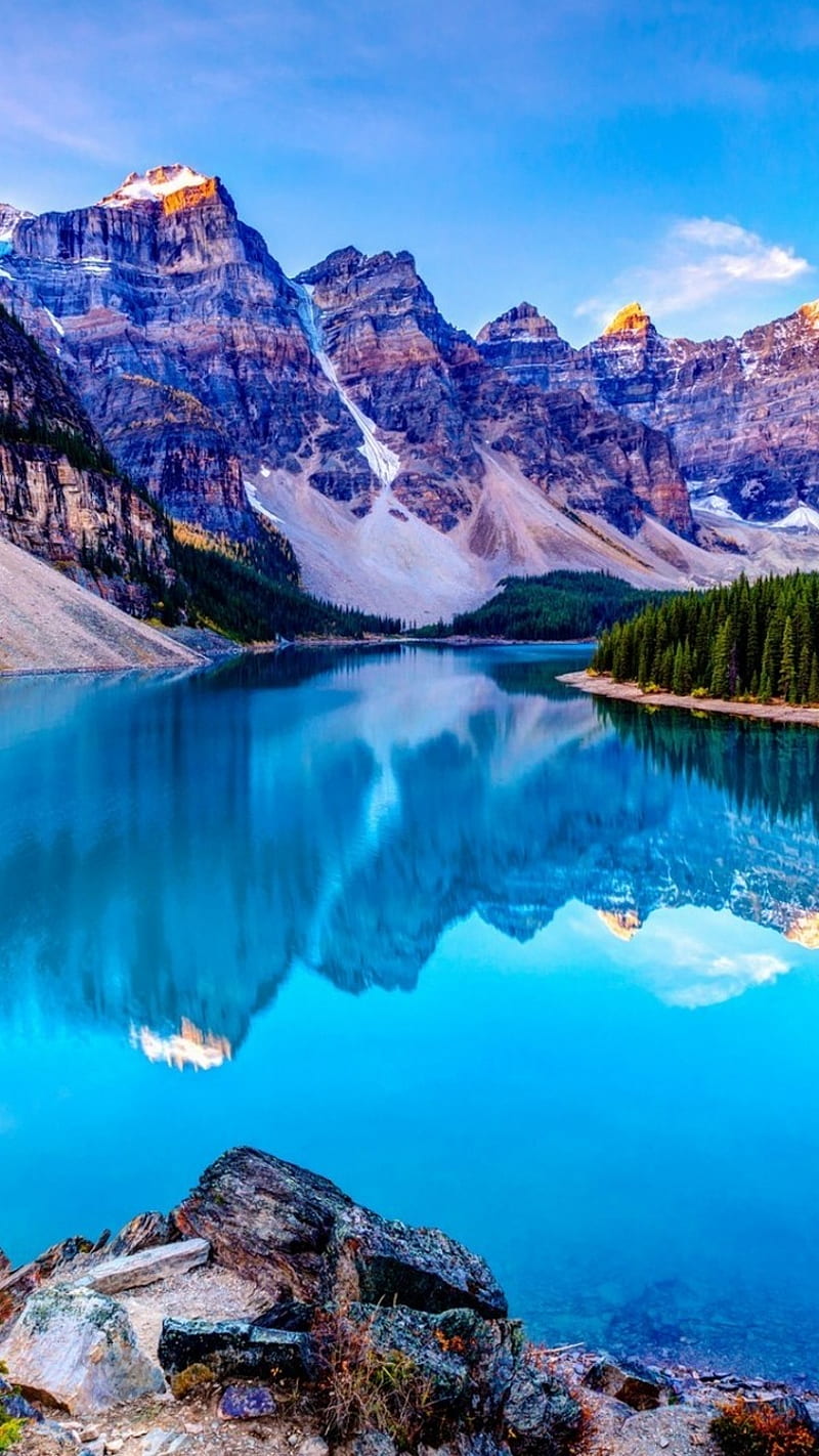 800x1422 Landscape, forest, lake, mountains, HD phone wallpaper