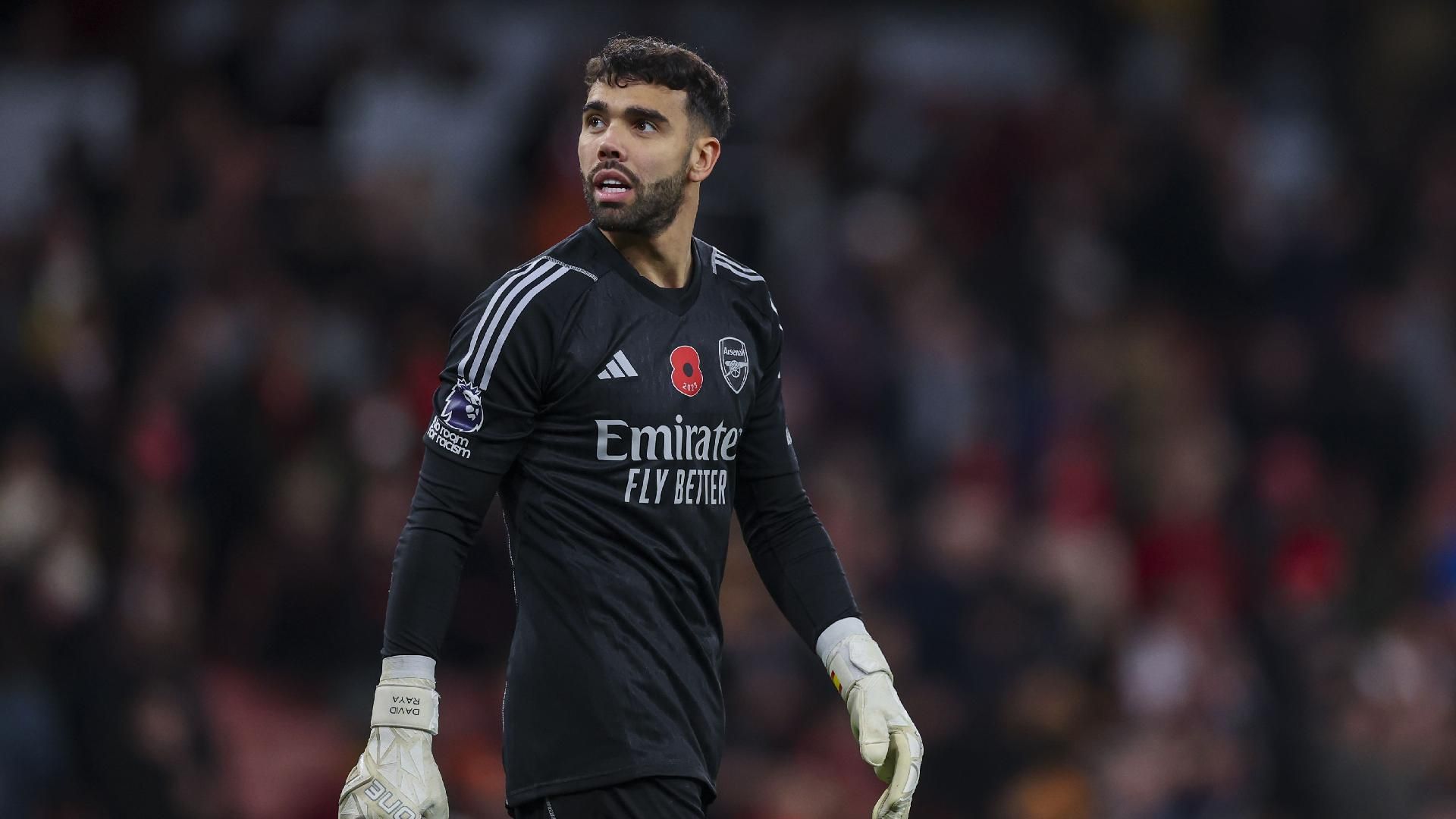 1920x1080 David Raya: Goalkeeper battle with Aaron Ramsdale makes us both better players