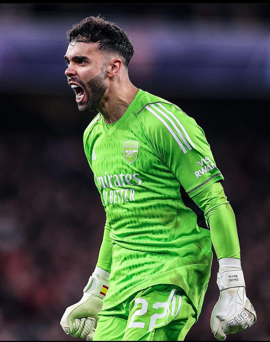 1080x1369 3 2024. The Day David Raya Won My Heart