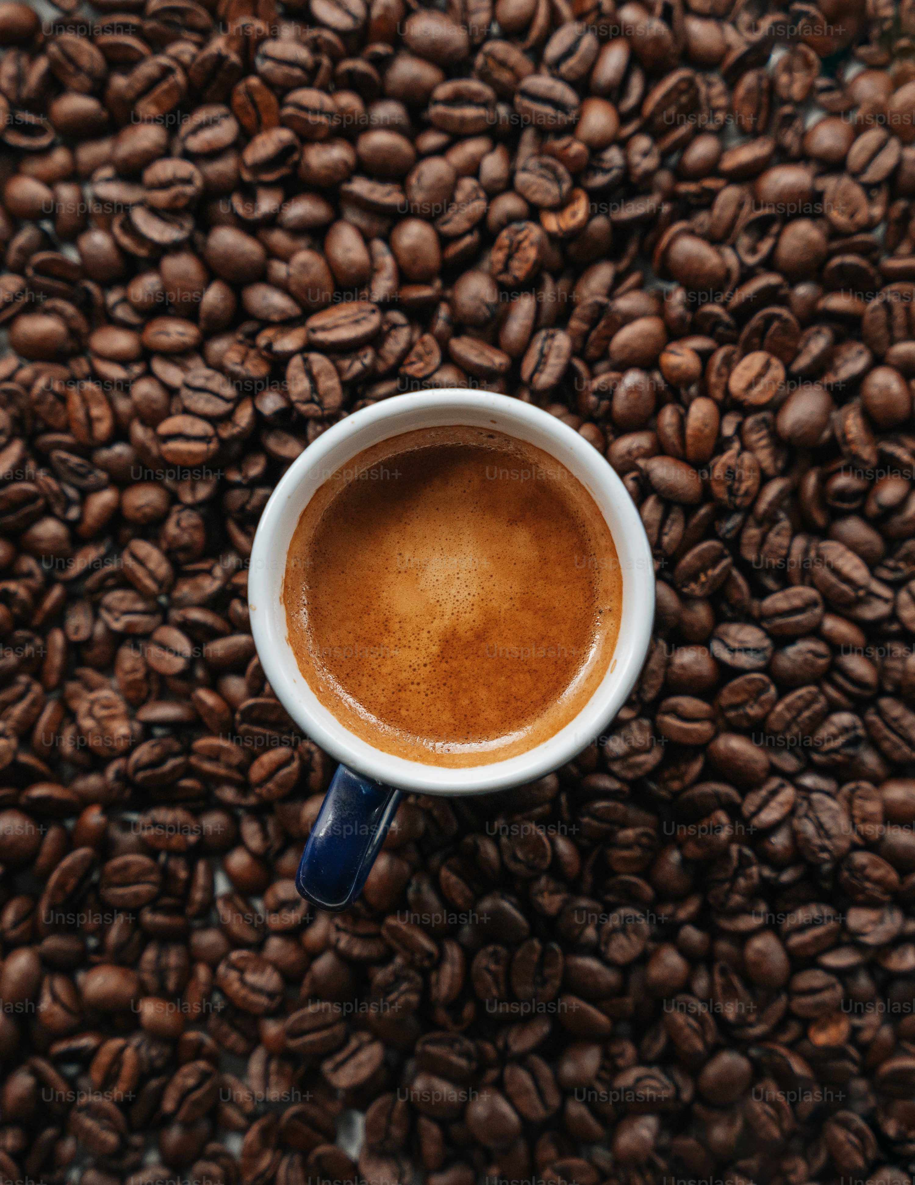 3000x3882 Coffee Picture. Download Free Image